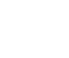 Team Startup Colombia